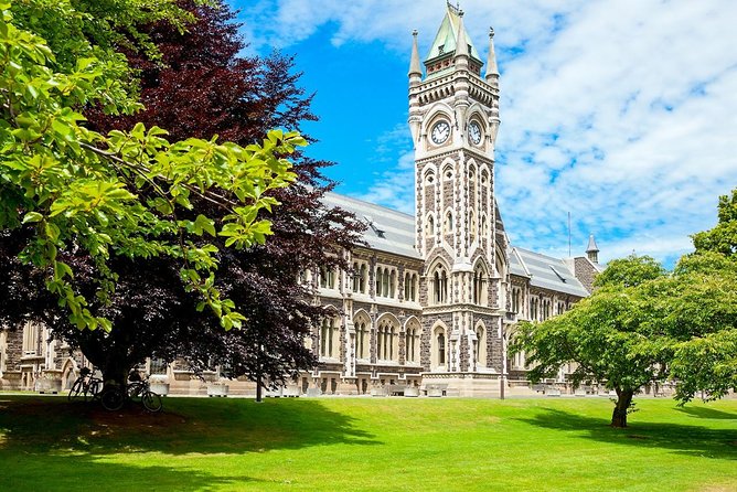 Dunedin City and Coastal Views 3-Hour Small-Group Guided Tour - Tour Pricing and Lowest Price Guarantee