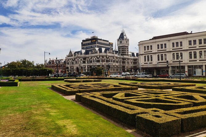 Dunedin City and Coastal Views 3-Hour Small-Group Guided Tour - Tour Highlights and Itinerary