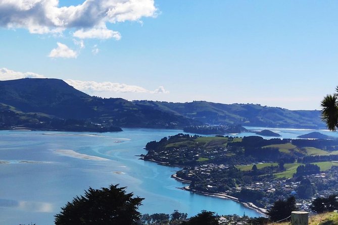 Dunedin City and Coastal Views 3-Hour Small-Group Guided Tour - Cancellation Policy and Refunds
