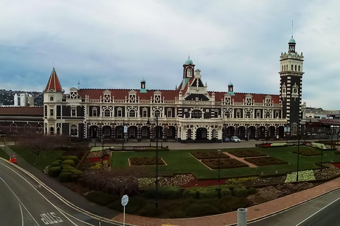 Dunedin City and Coastal Views 3-Hour Small-Group Guided Tour - Traveler Reviews and Ratings