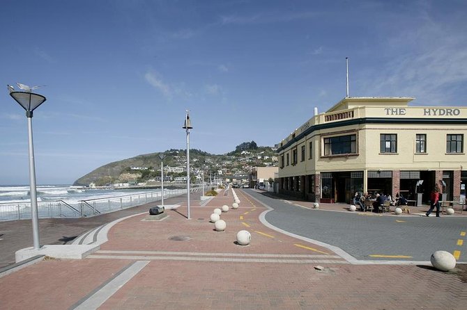 Dunedin City and Coastal Views 3-Hour Small-Group Guided Tour - The Sum Up