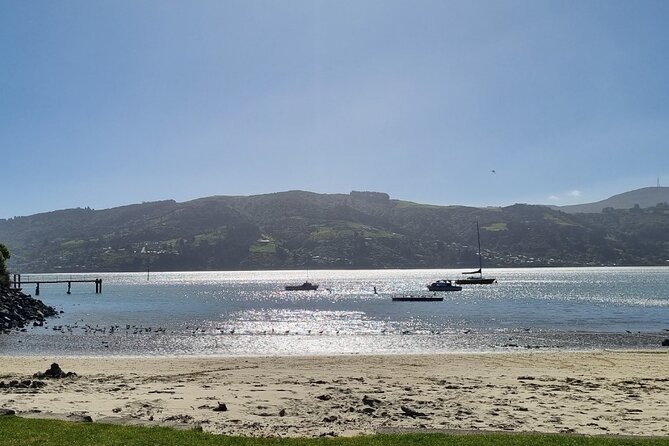 Dunedin City and Otago Peninsula Small-Group Tour - Positive Reviews of the Tour
