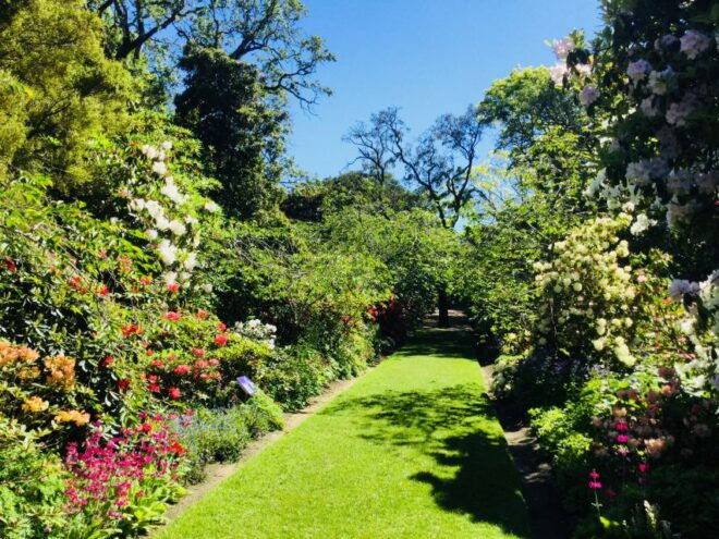 Dunedin: City Highlights and Otago Peninsula Scenery - Guided Stroll at Dunedin Botanic Garden