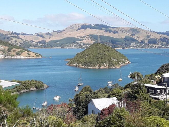 Dunedin: City Highlights and Otago Peninsula Scenery - Explore Dunedins Oldest Cemetery