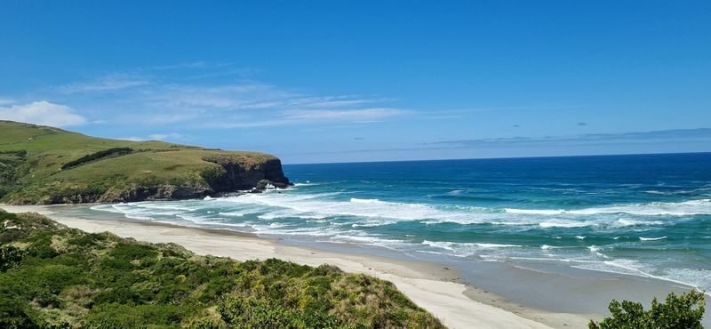 Dunedin City Highlights & Larnach Castle Gardens Tour - What the price buys