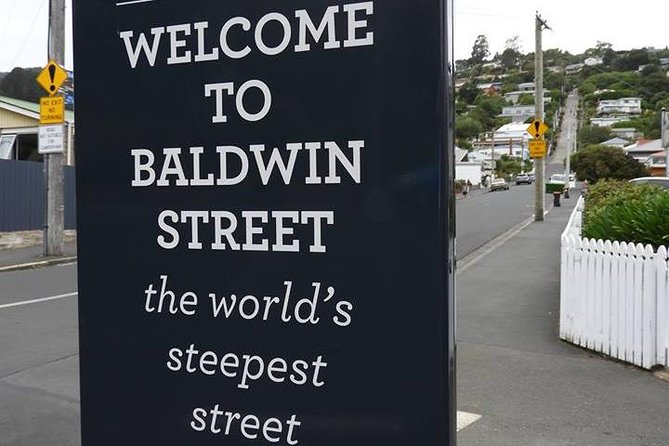 Dunedin City Highlights, Otago Peninsula Scenery & Albatross Guided Tour - Dunedin City Tour