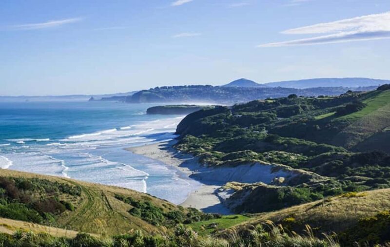 Dunedin City & Otago Peninsula Scenery Day Tour - Frequently Asked Questions