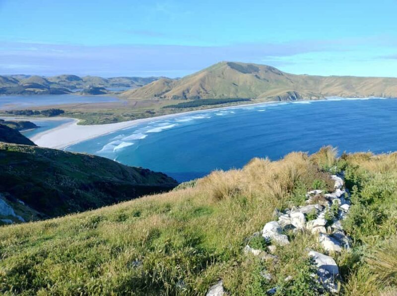 Dunedin City & Otago Peninsula Scenery Day Tour - Final Recommendation