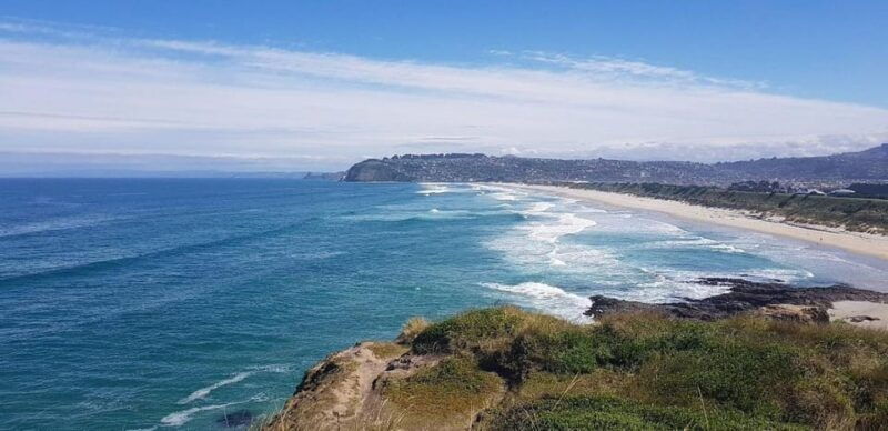 Dunedin City & Otago Peninsula Scenery Day Tour - Good To Know  