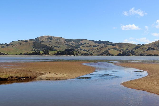 Dunedin City, Wildlife and Larnach Castle - Meeting and Pickup Details