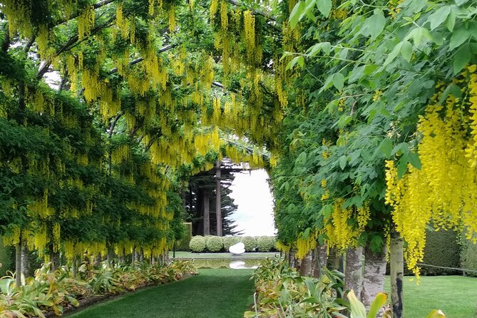 Dunedin City, Wildlife and Larnach Castle - Larnach Castle Tour