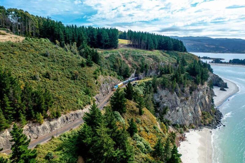 Dunedin Cruise Excursion: Express Coastline Rail Tour - Good To Know