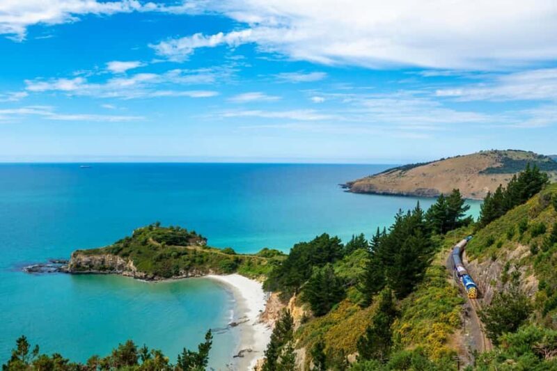 Dunedin Cruise Excursion: Express Coastline Rail Tour - Discovering Dunedin’s Coastal Charm on the Rail Tour