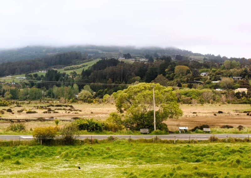 Dunedin Cruise Excursion: Express Coastline Rail Tour - Practical Details: Transportation, Pricing, and Comfort