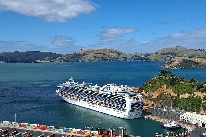 Dunedin & North Otago Scenic & Wildlife Tour - An In-Depth Look at the Dunedin & North Otago Tour