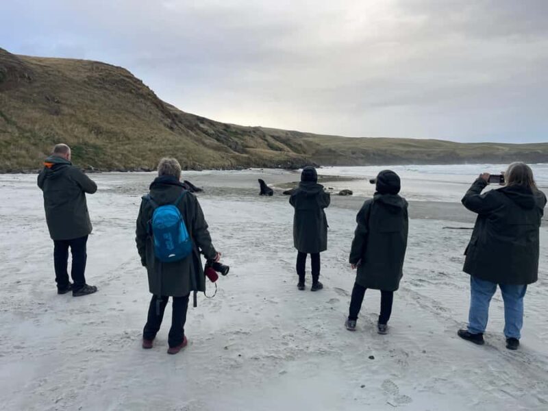 Dunedin: Otago Peninsula Clearwater Wildlife Tour - FAQ