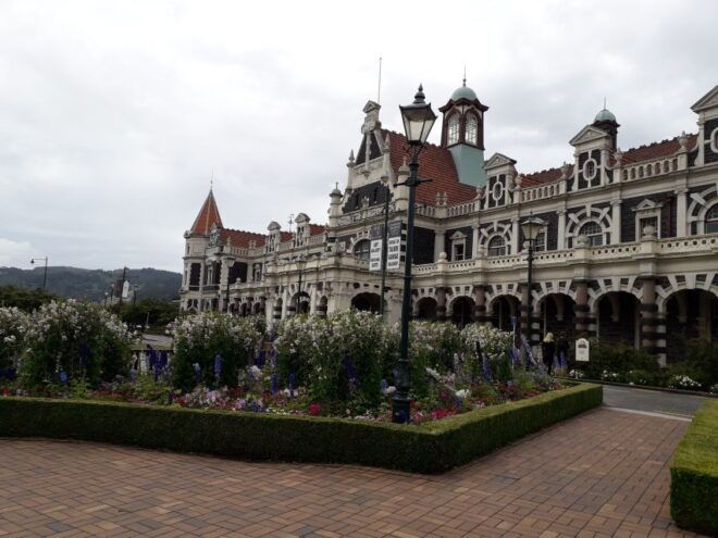 Dunedin: Otago Peninsula With Guided Penguin Tour - Other Similar Options