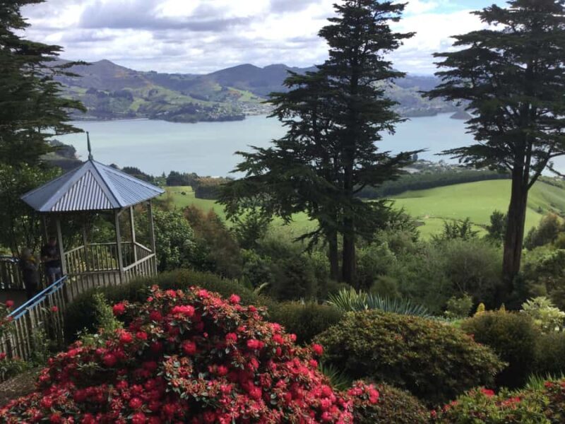 Dunedin: Peninsula with Lanarch Castle gardens & Olveston - The Itinerary: A Detailed Look at Your Day in Dunedin