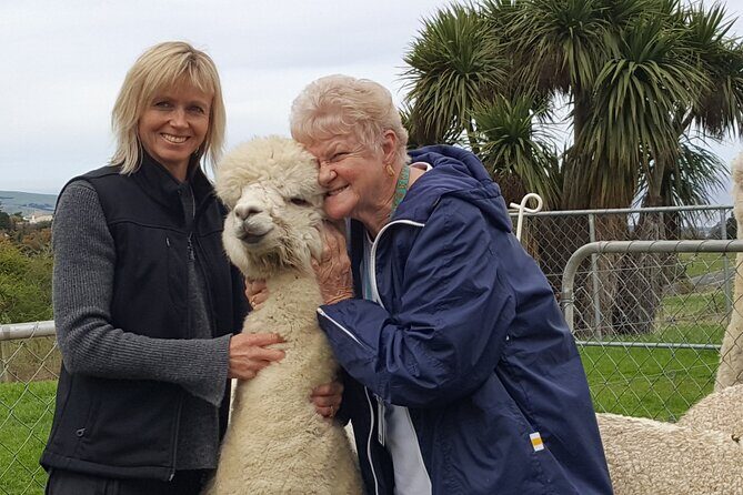 Dunedin Private Tour: City Sights & Otago Peninsula - Final Thoughts