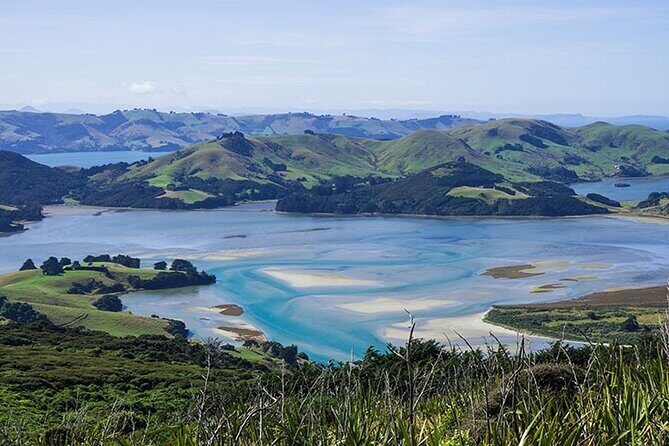 Dunedin Shore Excursion City Sightseeing & Tour of Larnach Castle - FAQ