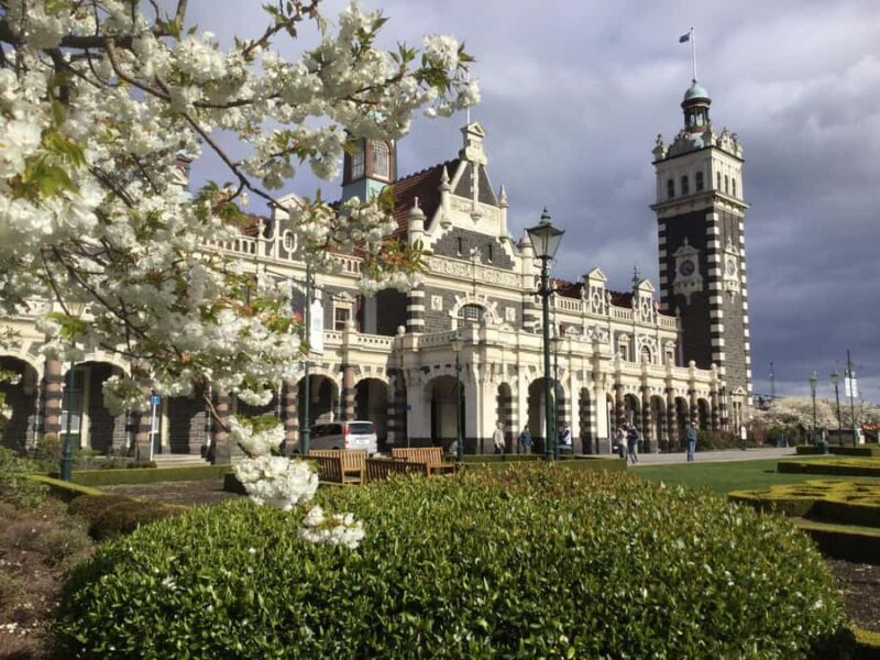 Dunedin: Small Group City Highlights Tour - Good To Know