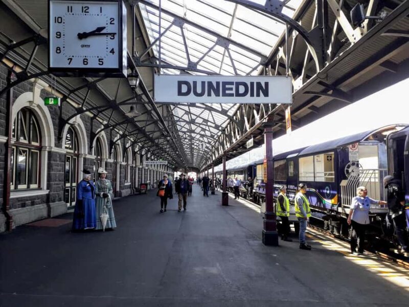 Dunedin: Small Group City Highlights Tour - Authenticity & Insider Insights