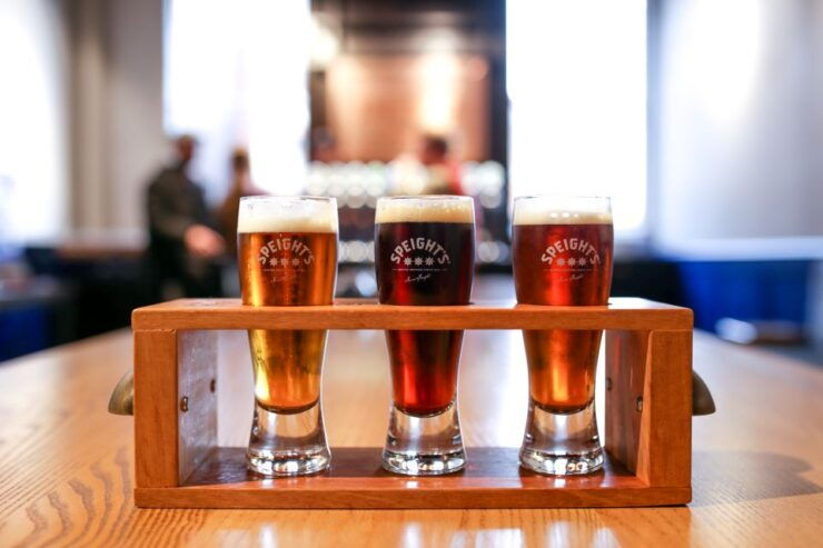 Dunedin: Speight's Brewery Guided Tour With Tasting - Other Recommended Experiences