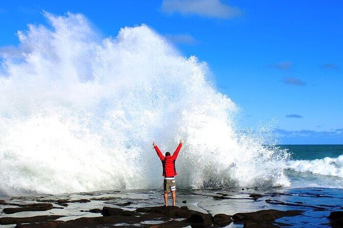 Dunedin to Te Anau via the Catlins One Way Small Group Tour - Discovering New Zealand’s Scenic South: Dunedin to Te Anau via the Catlins