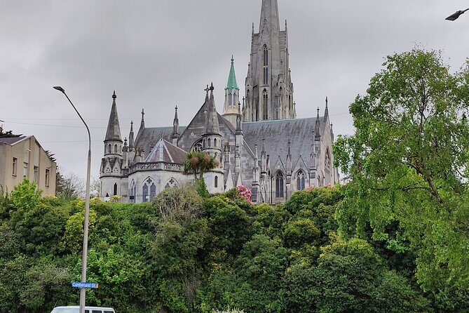 Dunedin True Crime Walking Tour Inner City - Good To Know