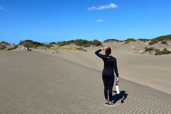 Dunes Snorkeling Tour Outside Santo Domingo - Good To Know