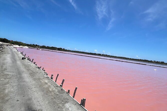 Dunes Snorkeling Tour Outside Santo Domingo - FAQ