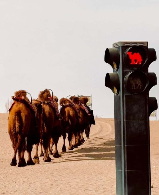 Dunhuang Highlights Tour: Mogao Caves, Desert & Night Market - Frequently Asked Questions