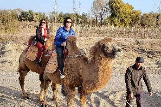 Dunhuang Private Camel Riding in the Gobi Desert - Dunhuang Gobi Desert Camel Riding
