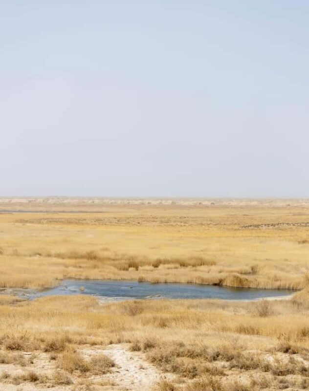 Dunhuang West Route: Yangguan, Yumenguan & Yardang Landform - Who Will Love This Tour?