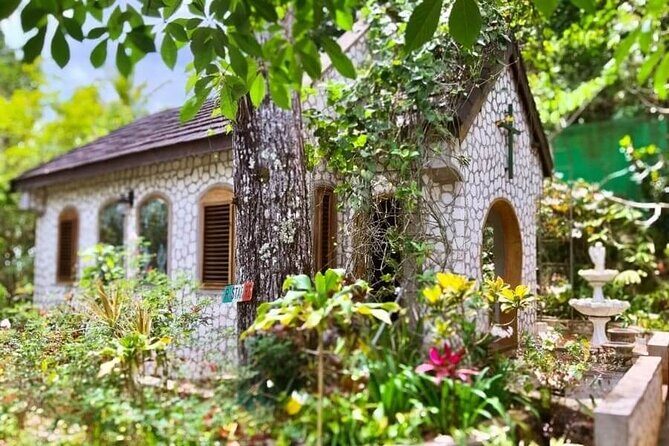 Dunn River Falls and Bob Marley Nine Miles Tour with Lunch - An In-Depth Look at the Tour Experience