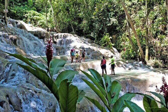 Dunn River Falls and Bob Marley Nine Miles Tour with Lunch - FAQ