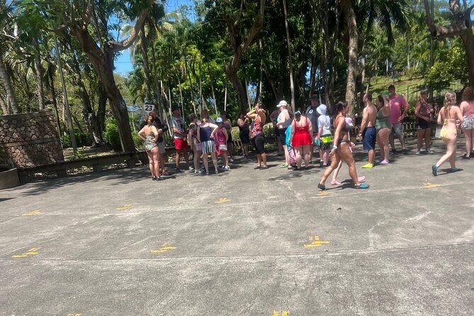 Dunn River Falls from Montego Bay Private Tour - Why This Tour Offers Great Value