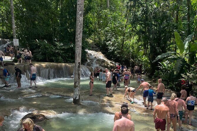 Dunn River Falls from Montego Bay Private Tour - Who Is This Tour Best For?