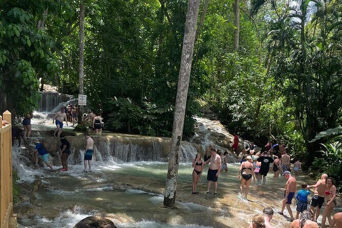 Dunn River Falls from Montego Bay Private Tour - The Sum Up