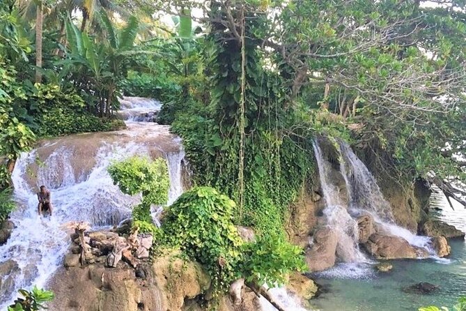 Dunns Falls Half-Day Tour From Runaway Bay - Itinerary Highlights