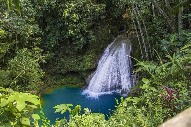 Dunns River and Blue Hole Secret Falls Day trip from Montego Bay - Frequently Asked Questions