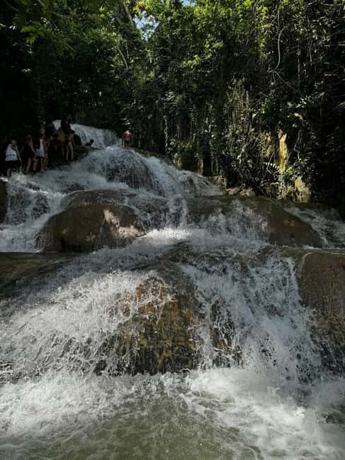 Dunns River Falls Adventure Tour - Who Will Love This Tour?