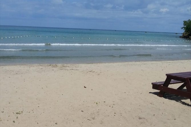 Dunns River Falls and Beach From Ocho Rios Jamaica - Overview of the Excursion
