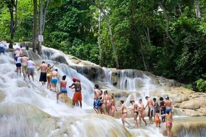 Dunn's River Falls and Blue Hole Islsnd Gully Combo - A Look at the Itinerary and What You’ll Experience