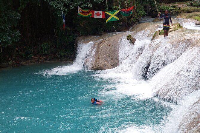 Dunn's River Falls and Blue Hole Private Tour From Ocho Rios - Who Should Consider This Tour?