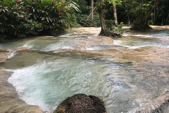 Dunns River Falls and Bluehole Private Tour - Itinerary Overview