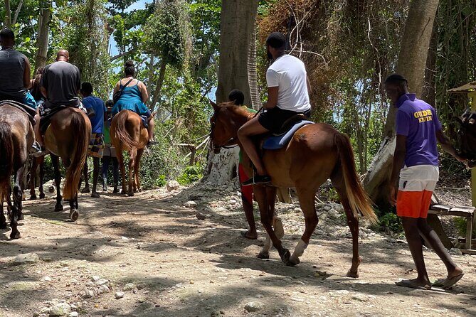 Dunns River Falls and horseback riding activity - Who Is This Tour Best For?