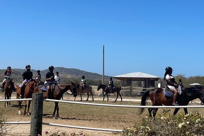 Dunns River Falls and horseback riding activity - The Sum Up: Is It Worth It?