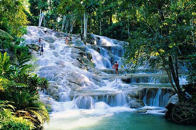 Dunn's River Falls and Horseback Riding Tour from Montego Bay - Who Will Enjoy This Tour?