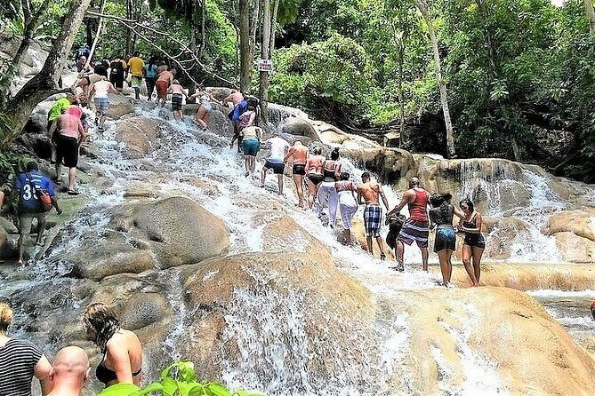 Dunn's River Falls and Horseback Riding Tour from Montego Bay - The Sum Up: Who Is This Tour For?